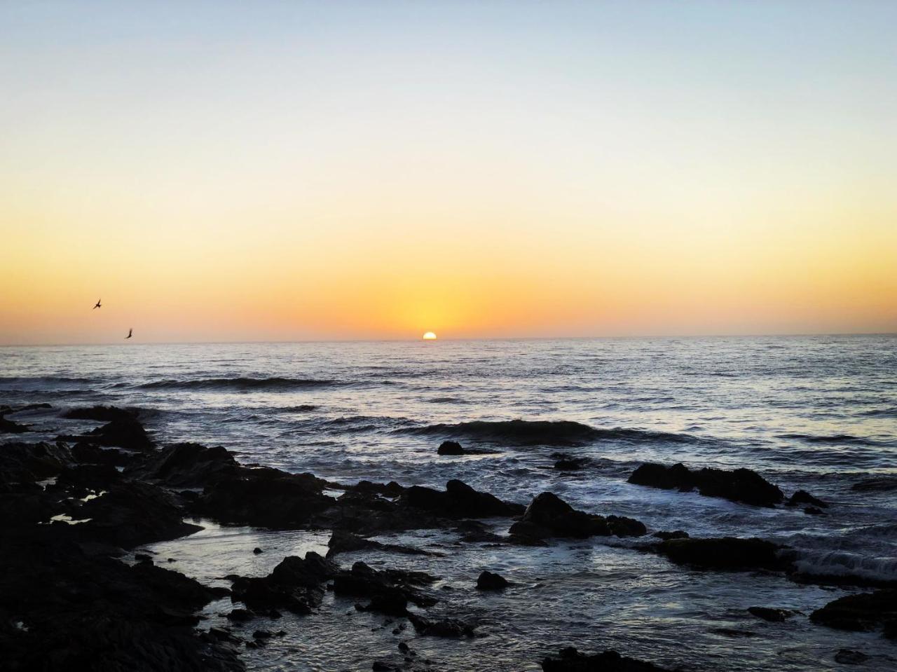 Delfin Apart Pichilemu Bagian luar foto